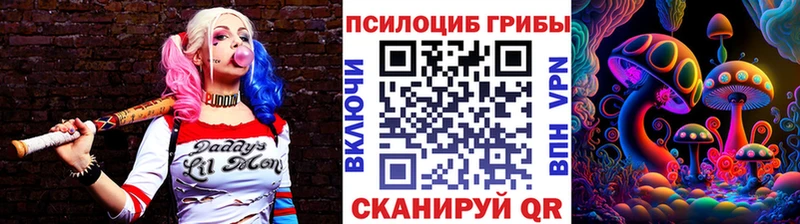 Галлюциногенные грибы Psilocybe  Купить где  Губкинский 